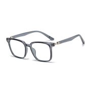 Оправа TWINZ TJ866 Transparent Grey, TR-90+Metal, фильтр синего цвета