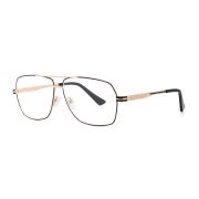 Оправа TWINZ GL9199 Gold Exstraction, металл