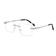 Оправа TWINZ 25635 Silver Snake, стекло и металл