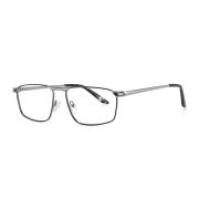 Оправа TWINZ GL8832 Silver Arrow, металл